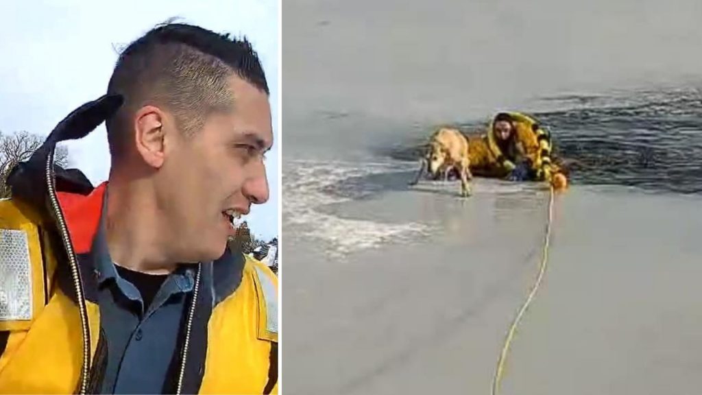 Bodycam video shows Sparta, NJ officer rescuing dog that fell into frigid water in frozen lake