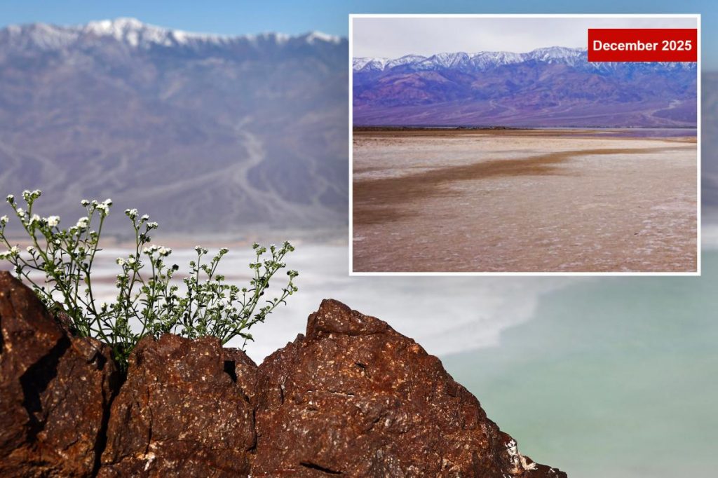Death Valley's ancient Lake Manly reappears after record rainfall