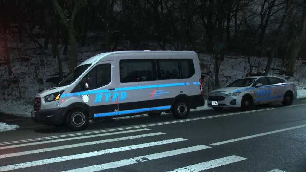 Person in custody after 15-year-old sexually assaulted in Central Park, police say Person in custody after 15-year-old sexually assaulted in Central Park, police say