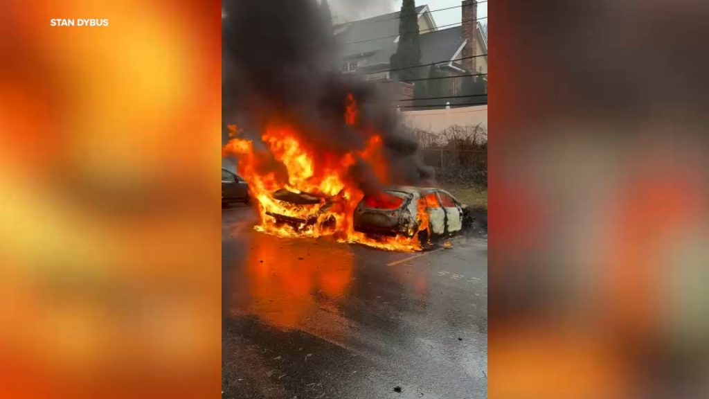 Tri-State storm damage: Heavy rain, strong winds lead to downed trees, power lines and car fires on Long Island, Manhattan Tri-State storm damage: Heavy rain, strong winds lead to downed trees, power lines and car fires on Long Island, Manhattan