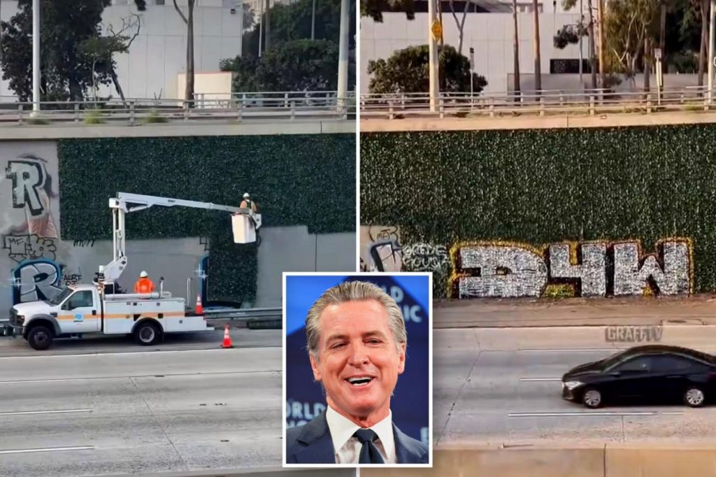 Gavin Newsom mocked over anti-graffiti fail Gavin Newsom mocked over anti-graffiti fail