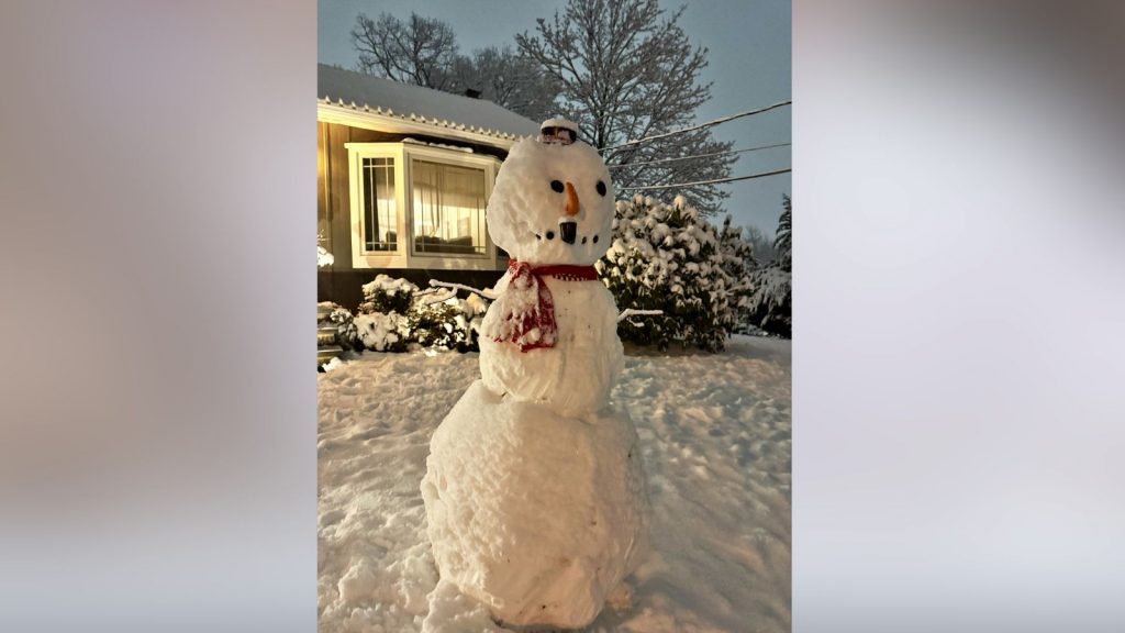 How much snow from winter storm 1/18/26: Snowfall totals from NYC, NY, NJ and CT