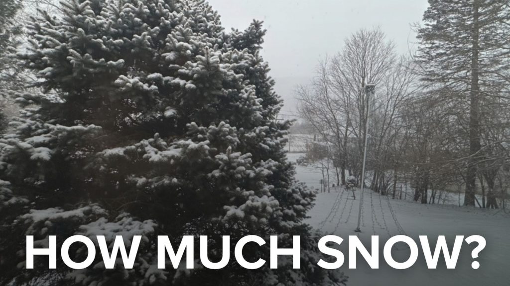 How much snow from winter storm 1/25/26: Snowfall totals from NYC, NY, NJ and CT How much snow from winter storm 1/25/26: Snowfall totals from NYC, NY, NJ and CT