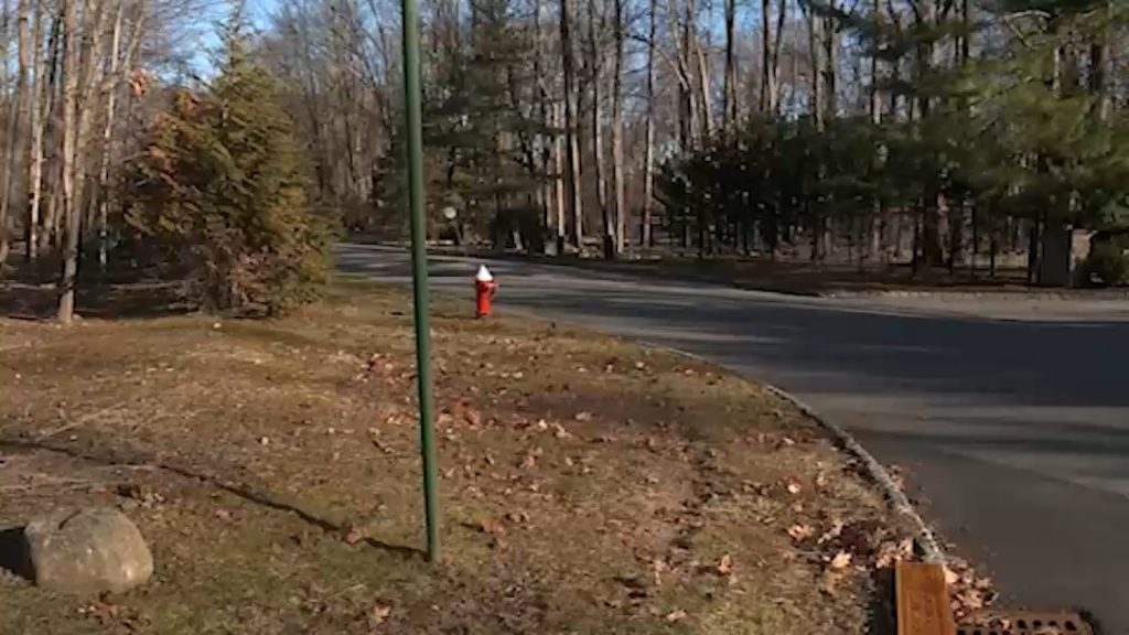 NJ coyote attack: Dog missing as Saddle River Police issue urgent wildlife warning