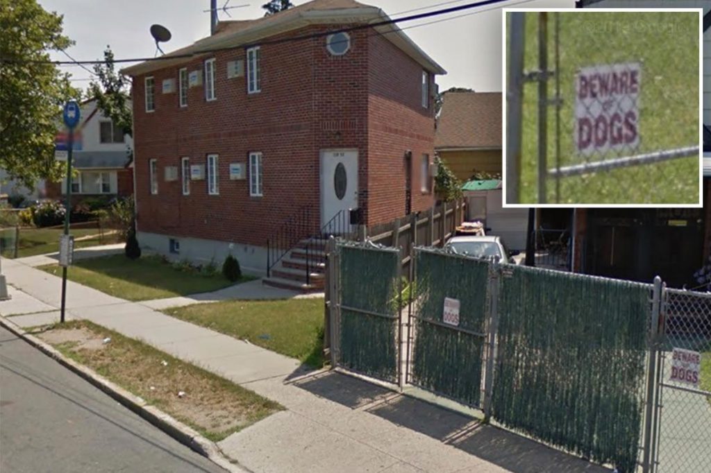 NYPD cops shoot, wound ‘vicious’ pit bull that had been attacking people at bus stop: police NYPD cops shoot, wound 'vicious' pit bull that had been attacking people at bus stop: police