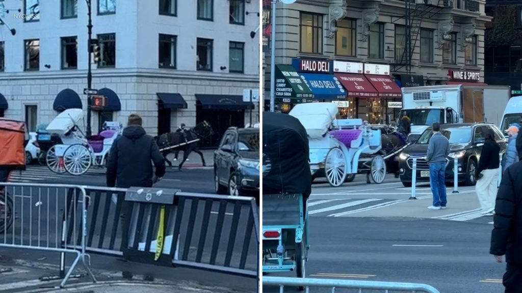Runaway NYC carriage horse runs into traffic, crashes into vehicles in Midtown
