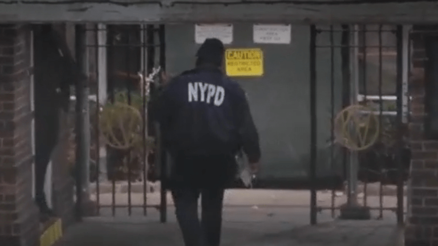 Son accused of beating mom, 76, to death with skateboard in NYC Son accused of beating mom, 76, to death with skateboard in NYC