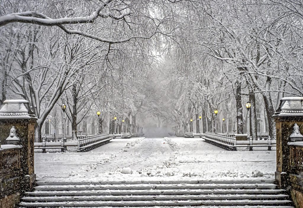 Today’s Freeze Is Just the Start as Temperatures Are Expected to Drop Even More This Weekend