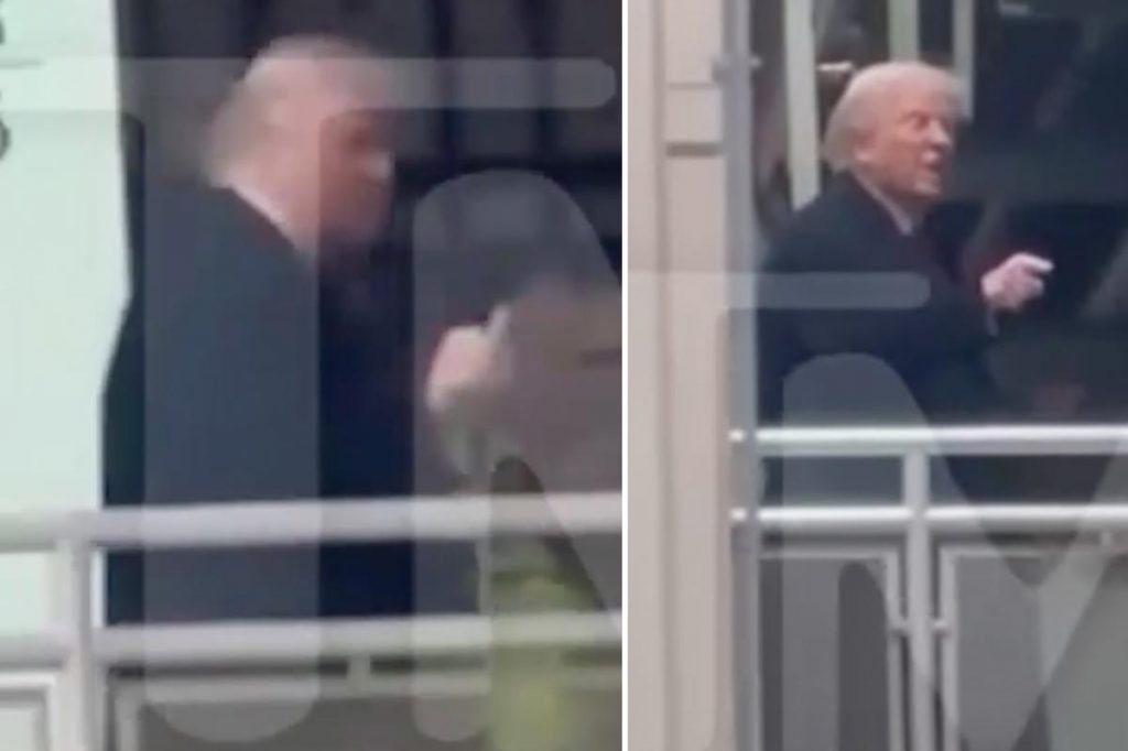 Trump flipped off 'lunatic' who called him 'pedophile protector,' White House confirms