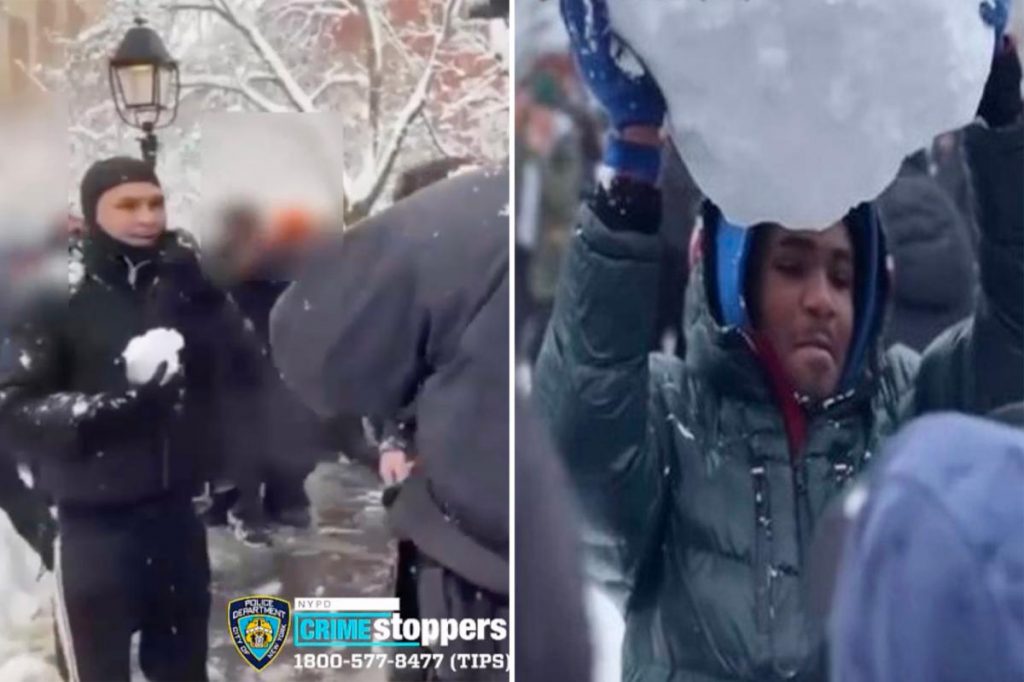 2 men wanted for pelting NYPD officers with snow seen in new photos