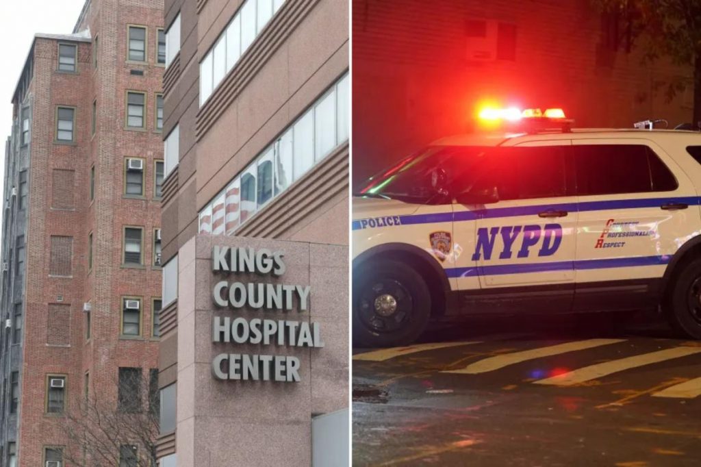 2 security guards busted for impeding NYPD cops from entering psych ward at NYC hospital: sources