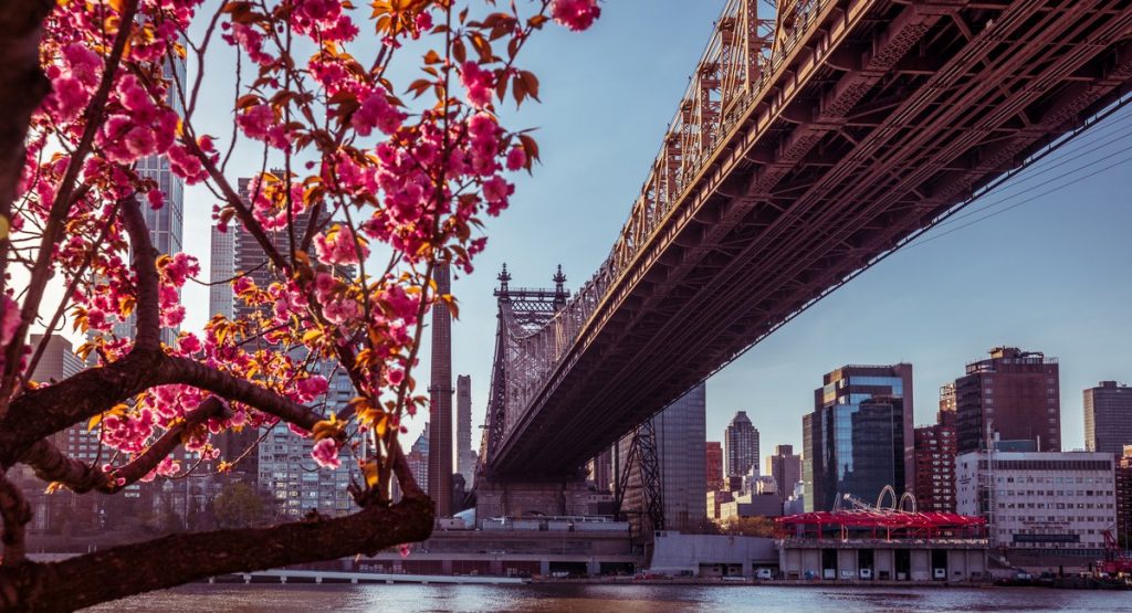 3rd teen arrested after boy falls down Queensboro Bridge shaft