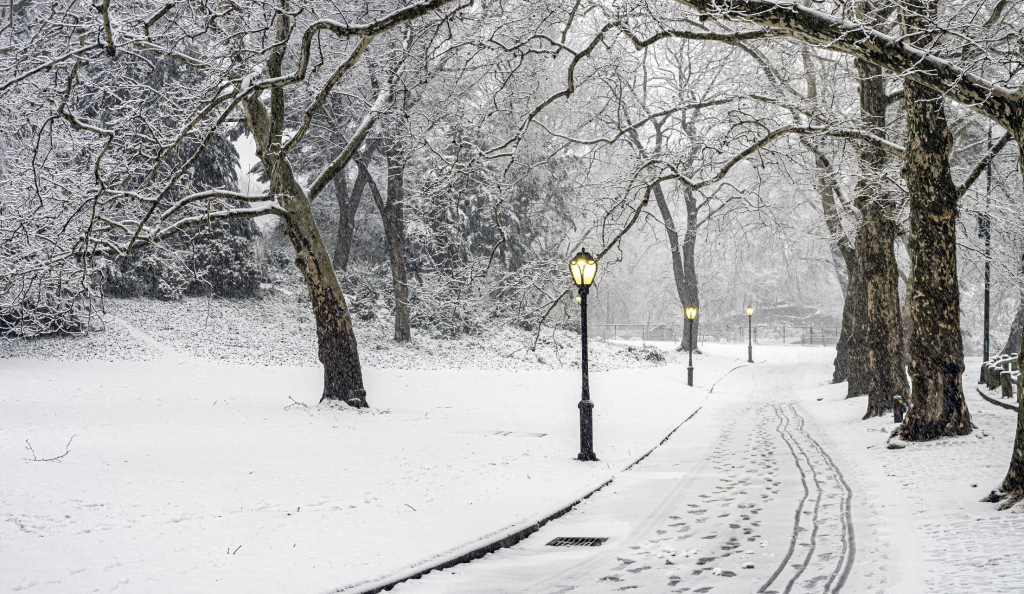 Bomb Cyclone Could Bring More Snow To NYC This Weekend: Weather Forecast Details