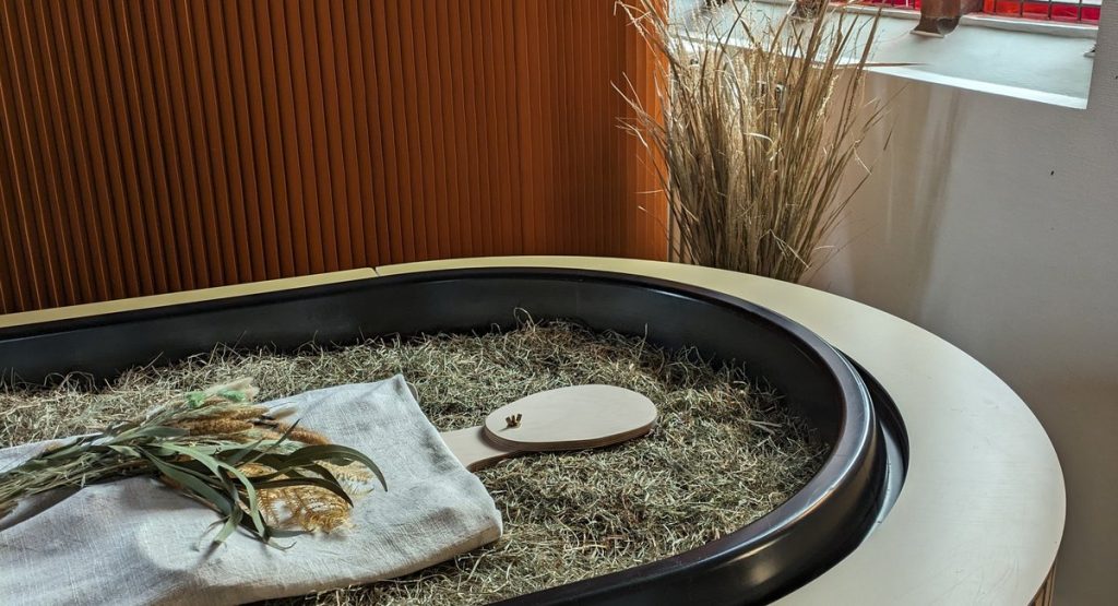 Compost your corpse? Brooklyn's Green-Wood Cemetery to make dying more green