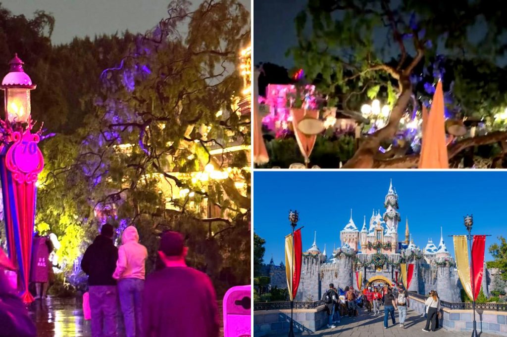 Couple claims a tree fell on them at Disneyland