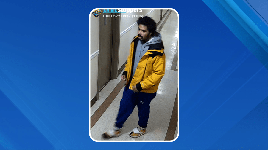 Homeless man allegedly slashed sister, grandmother in Bronx home: sources Homeless man allegedly slashed sister, grandmother in Bronx home: sources