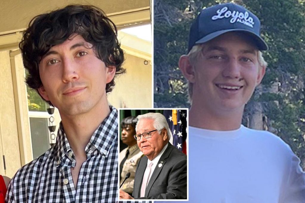 LA cops blast California's soft DUI laws