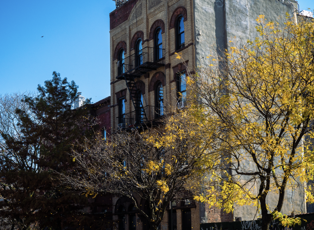 List of the 10 Best NYC Neighborhoods for Homebuyers in 2026 List of the 10 Best NYC Neighborhoods for Homebuyers in 2026