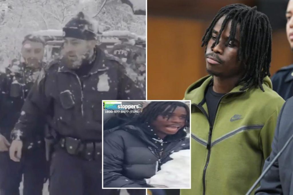 Manhattan DA ditches cop assault charge in case against Washington Square Park snowball-fight miscreant