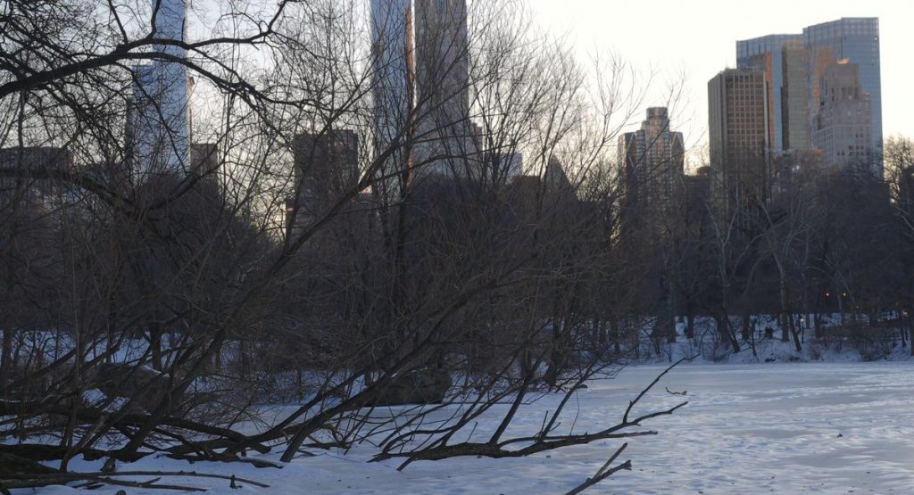 NYC cold snap death toll rises to 19 after man found under Manhattan Bridge, official says