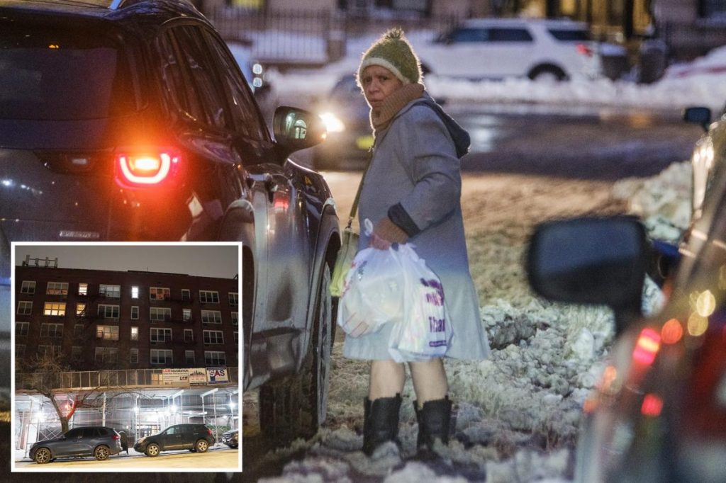 NYC mom who kept her teen twins captive suffered from schizophrenia: police sources