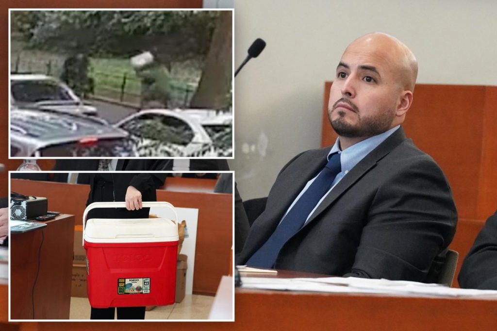 NYPD sergeant testifies he feared drug suspect ‘was going to kill my guys’ before fatal cooler throw