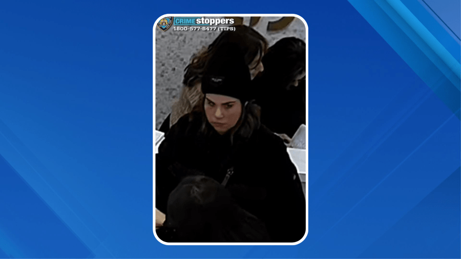 Nearly $100K in jewelry stolen from NYC store: NYPD Nearly $100K in jewelry stolen from NYC store: NYPD