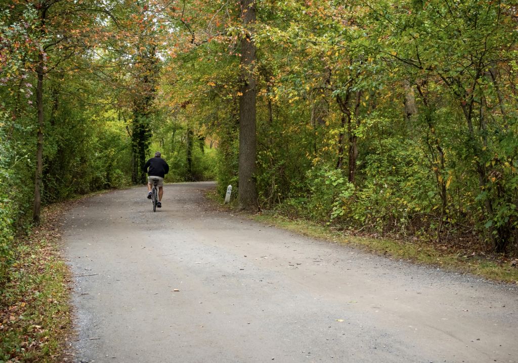 These are the Most Scenic Bike Trails in New York: See Full List