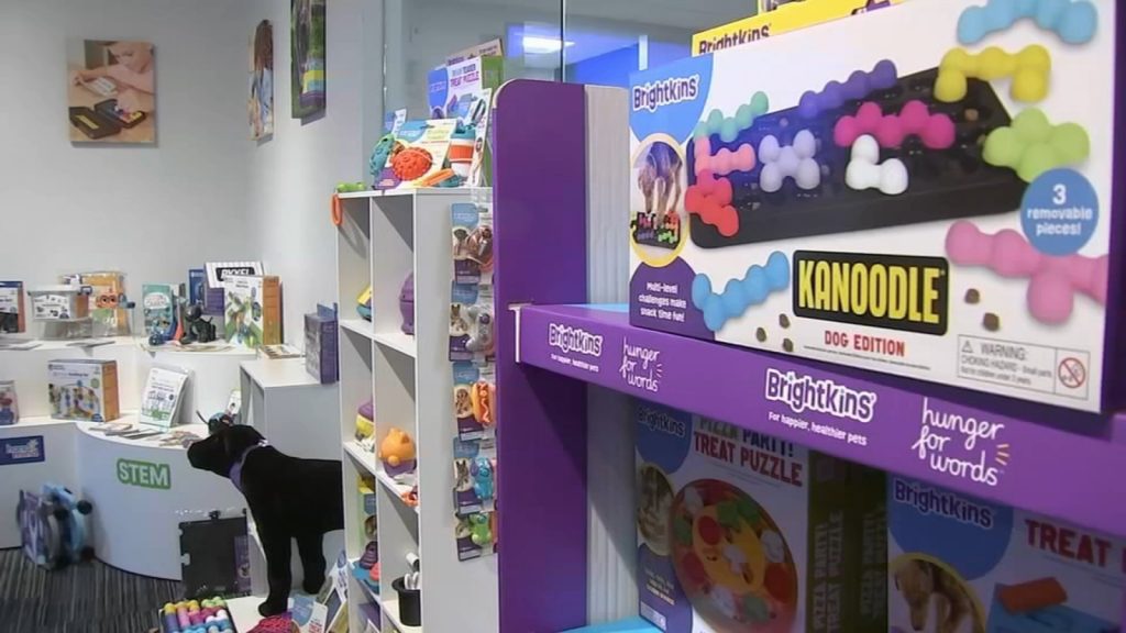 Trump 10% global tariff: Murky outlook for businesses after Supreme Court ruling on tariffs prompts countermoves by Donald Trump