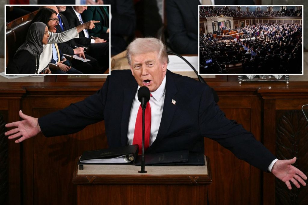 Trump blasts Democrats who refused to stand for protecting Americans over 'illegal aliens' at State of the Union 2026
