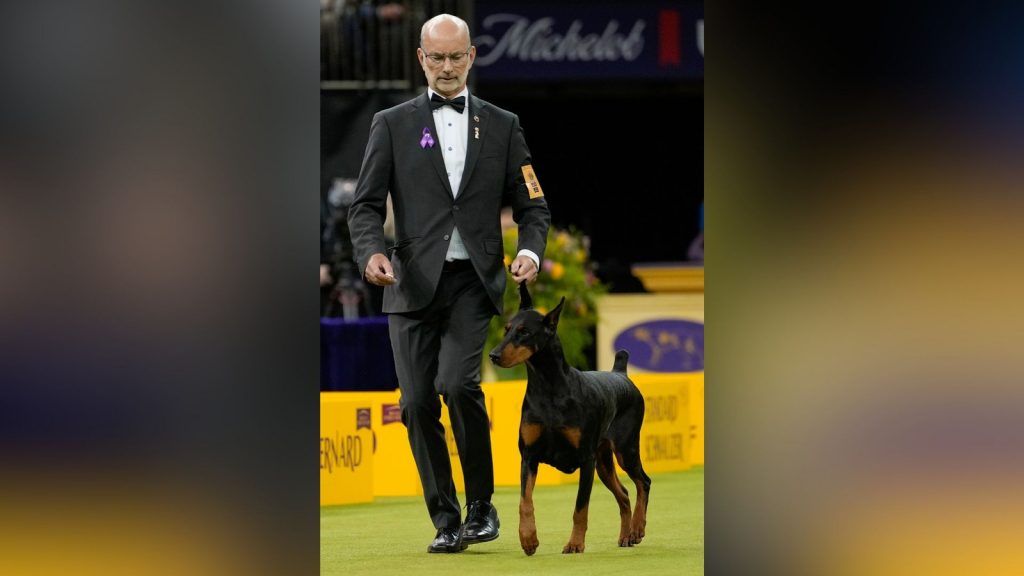 Westminster Kennel Club Dog Show: Doberman pinscher named Penny wins best in show at 150th competition