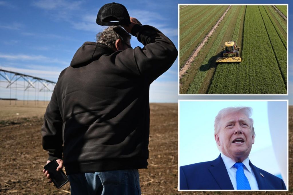 American farmers struggle with higher prices from Iran war, tariffs: 'Double whammy'