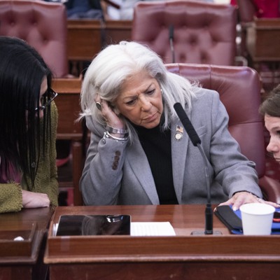 Amid ethics probe over Islamophobic tweets, Vickie Paladino is likely suing too early, experts say Amid ethics probe over Islamophobic tweets, Vickie Paladino is likely suing too early, experts say