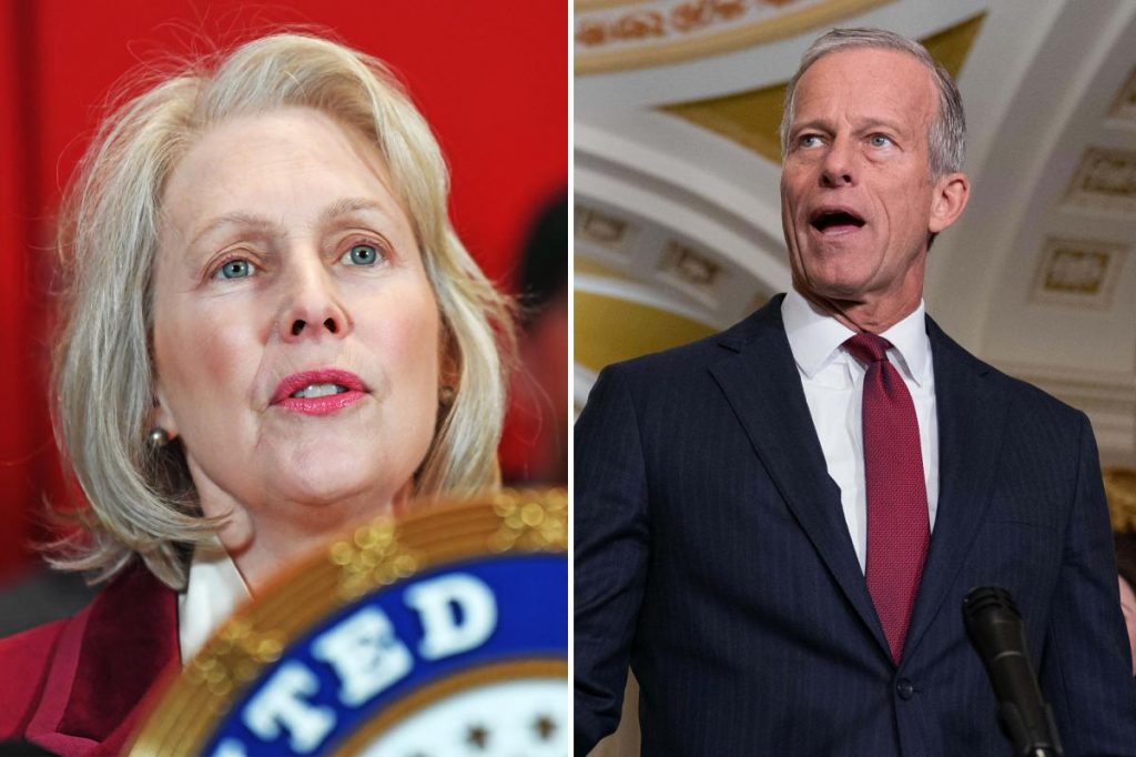 Democrats will win the Senate — not just the House — in November, campaign arm boss predicts Democrats will win the Senate -- not just the House -- in November, campaign arm boss predicts