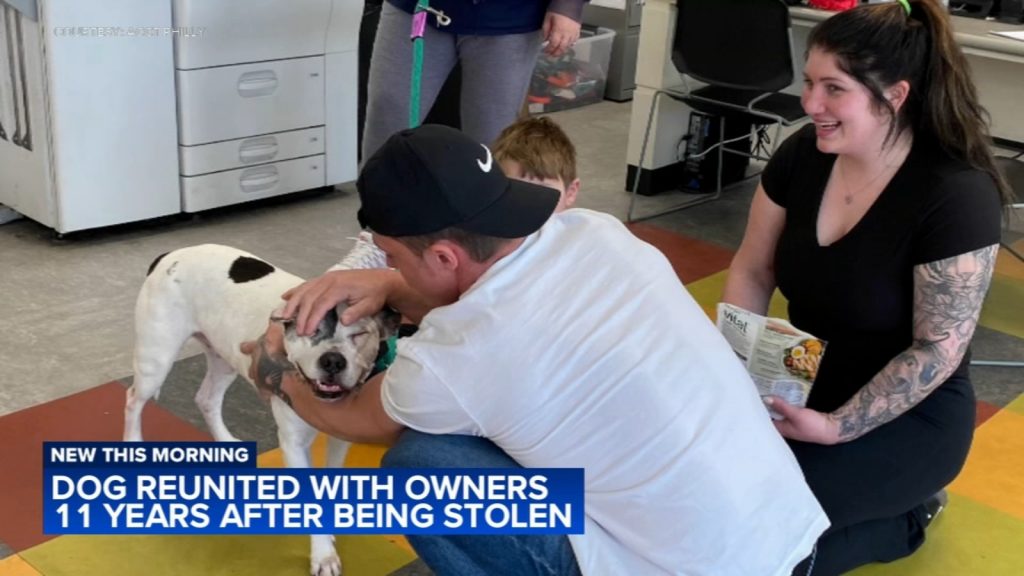 Dog reunited with family 11 years after being stolen from backyard in Philadelphia