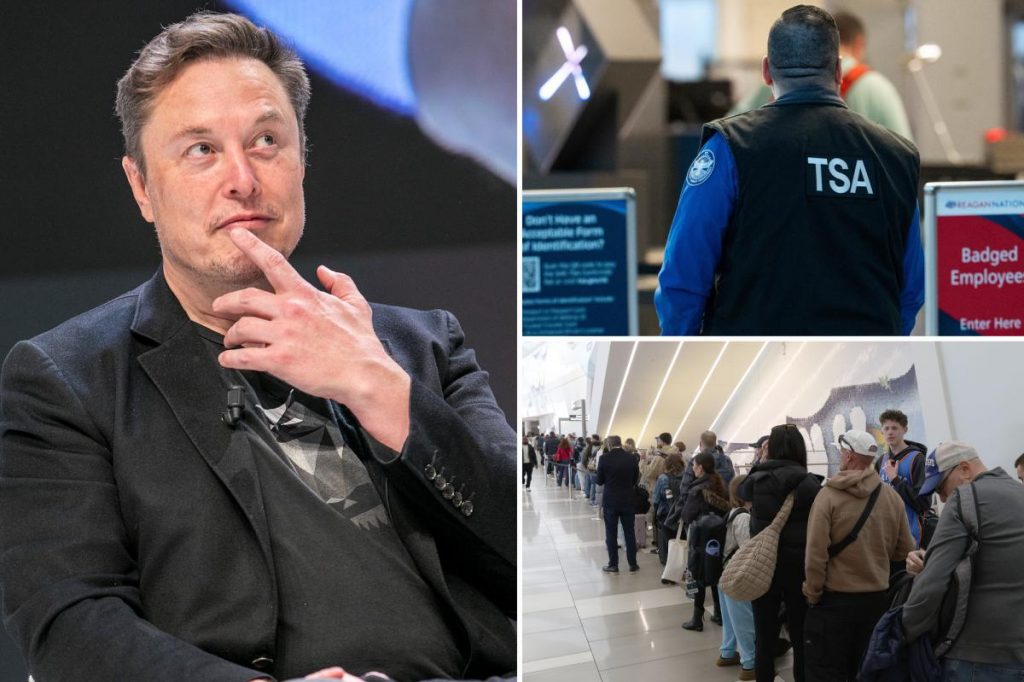 Elon Musk offers to pay TSA workers’ salaries amid DHS budget standoff Elon Musk offers to pay TSA workers' salaries amid DHS budget standoff