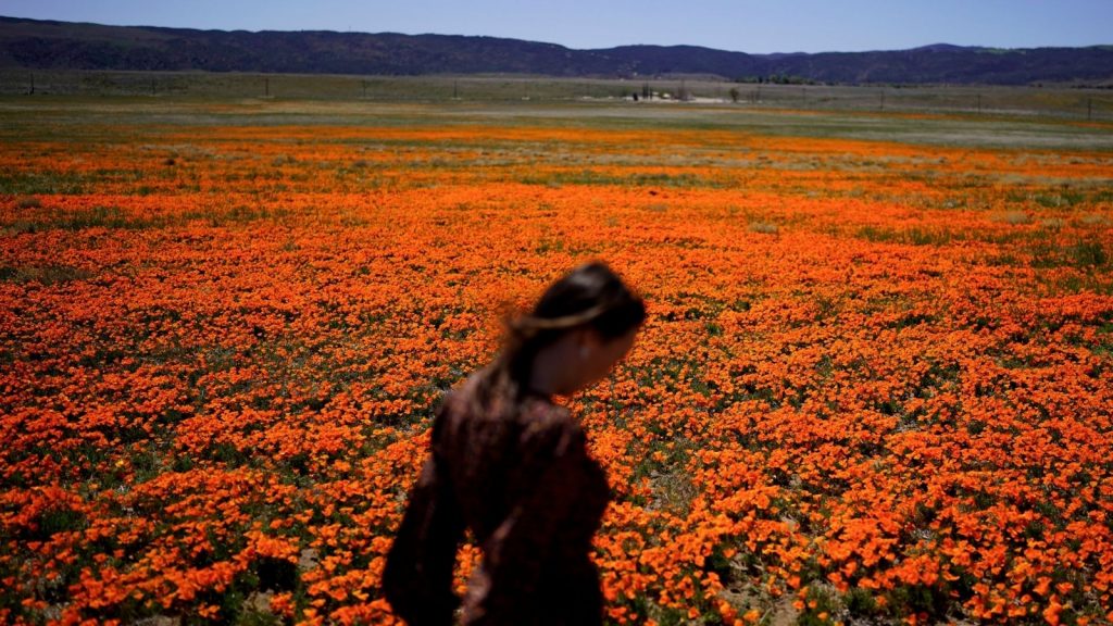 Health alert: Welcome to allergy season. Here’s how to protect yourself Health alert: Welcome to allergy season. Here's how to protect yourself