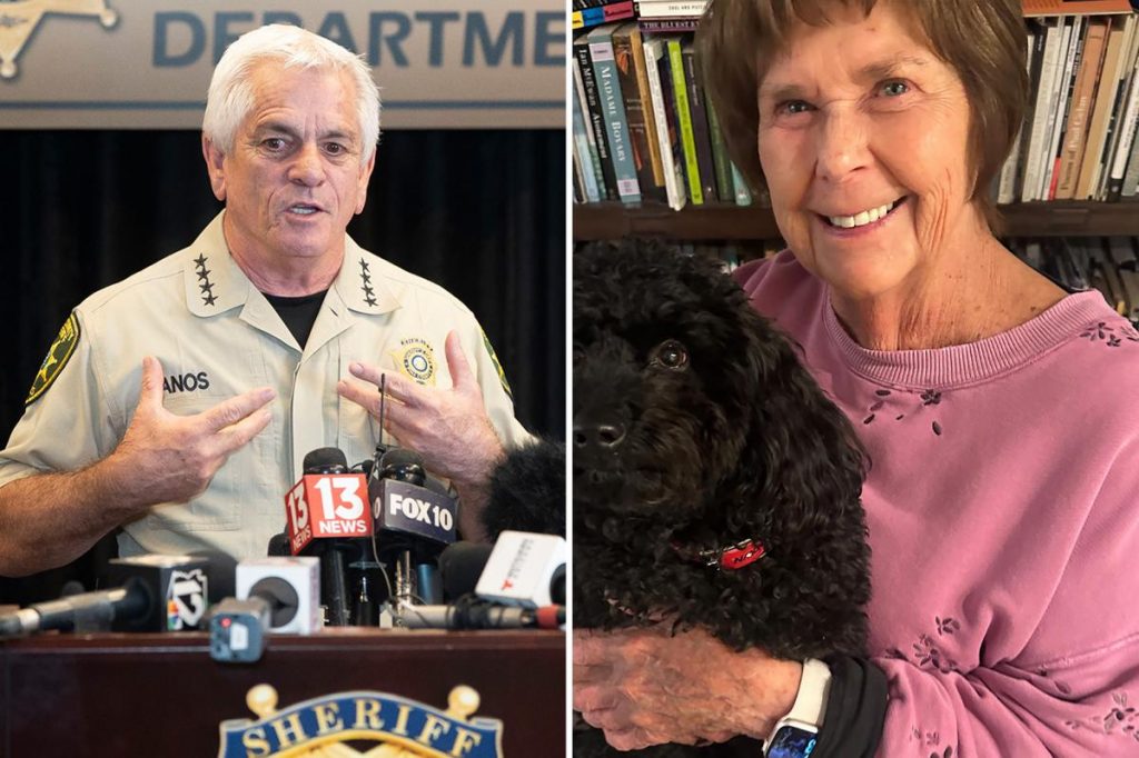 Nancy Guthrie sheriff blew probe due to 'ego and incompetence: ex-NYPD cop