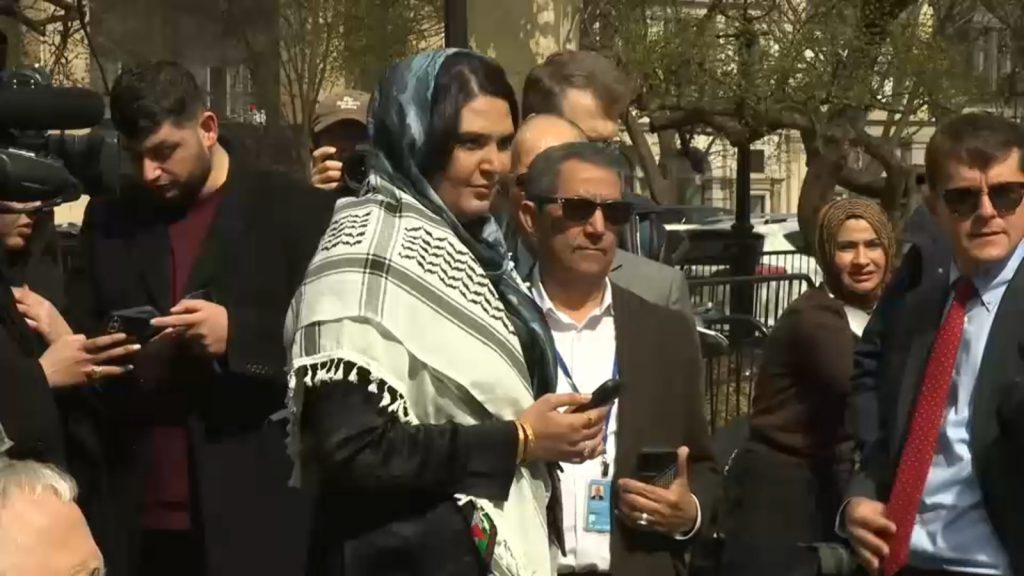 Pro-Palestinian activist Nerdeen Kiswani speaks out after foiled assassination plot