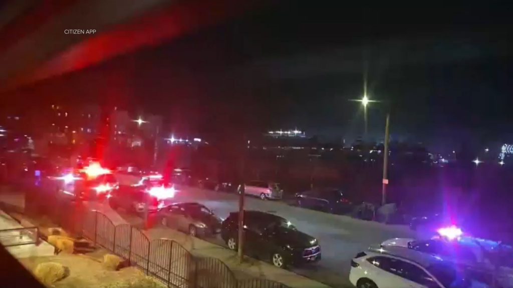 Queens pit bull attack: Police shoot dog attacking woman in Far Rockaway