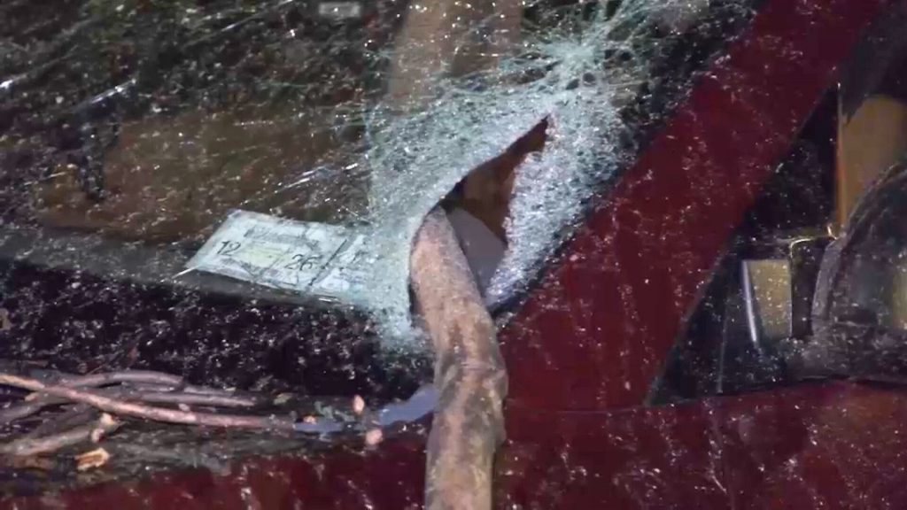 Severe storms hit New York and New Jersey, downing trees and causing power outages in some places