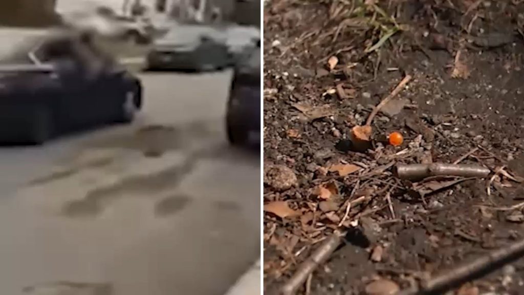 Teaneck bias attack: 17-year-old boy accused of shooting Jewish man with pellet gun over stance on Israeli-Palestinian conflict