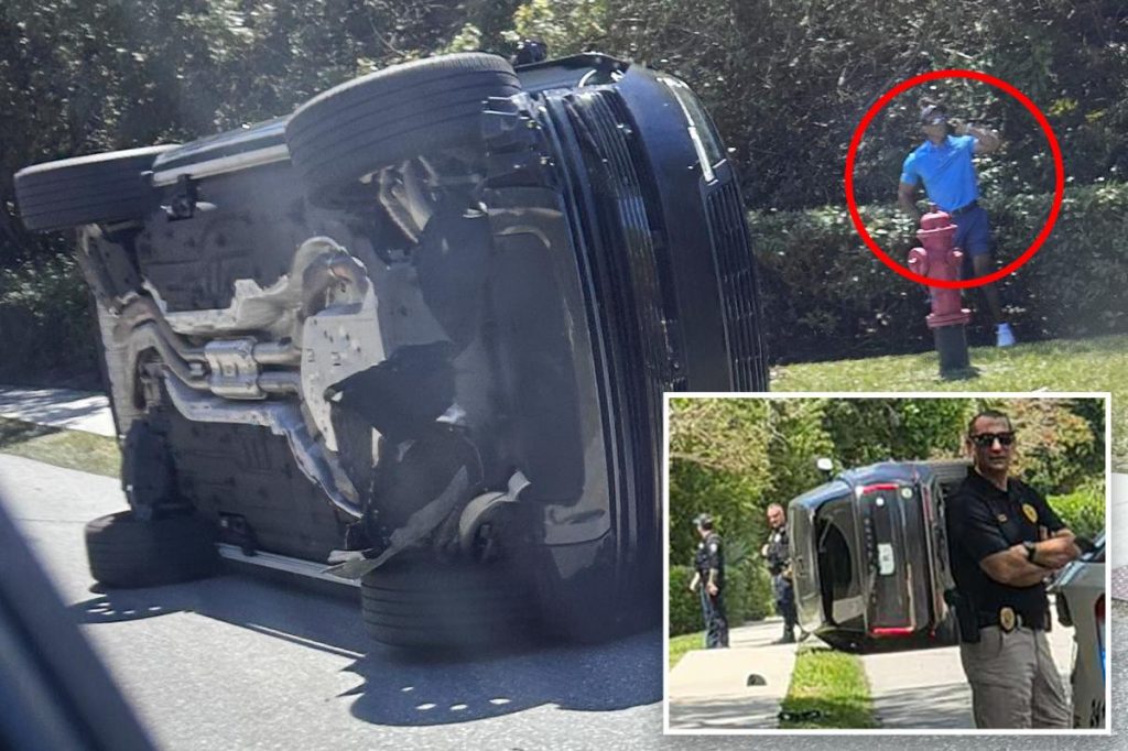 Tiger Woods appears to be making a profit thanks to latest mugshot