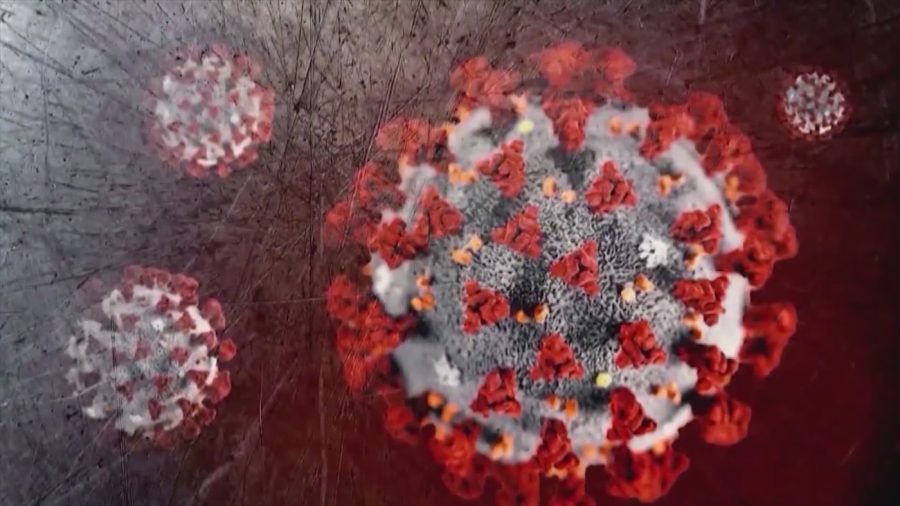 What to know about new 'Cicada' COVID variant detected in 25 states What to know about new 'Cicada' COVID variant detected in 25 states