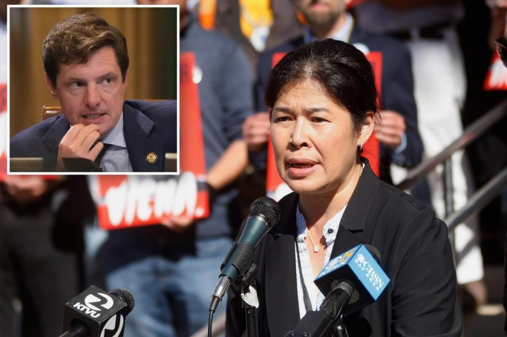 Daughter of brutally killed 'Grandpa Vicha' announces run for San Francisco supervisor