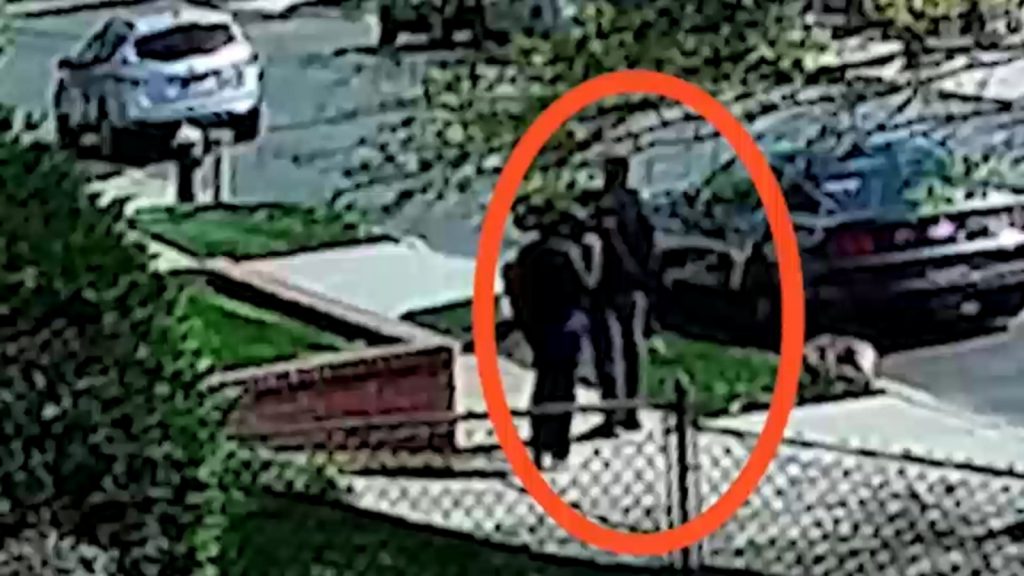 Judge releases man accused of slashing neighbors after dog urinated on his lawn in Queens