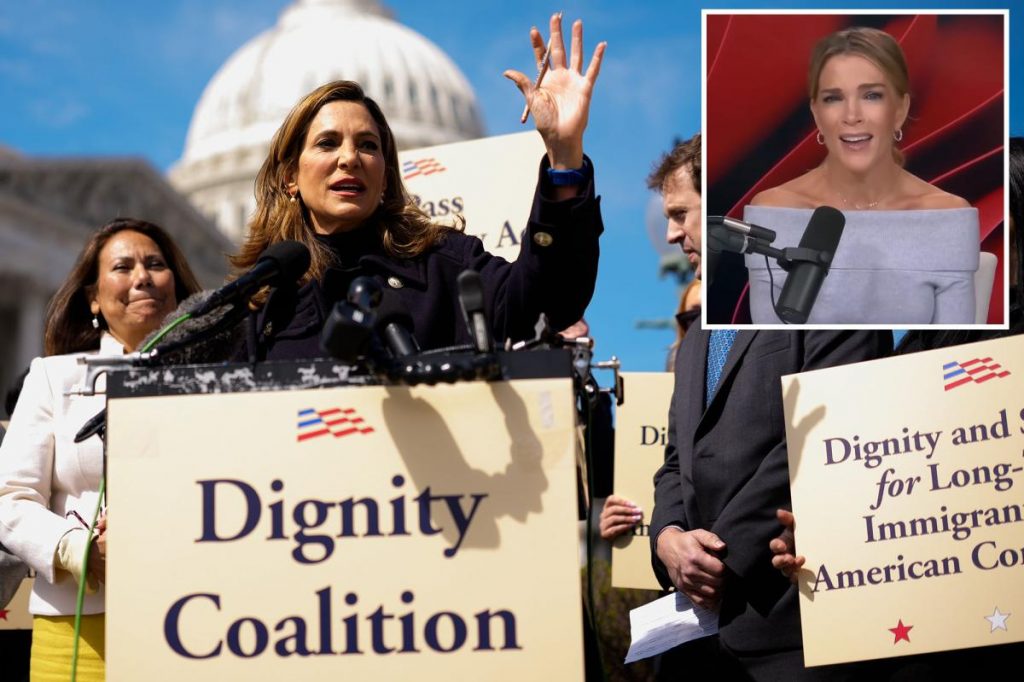 Megyn Kelly slams GOP reps backing ‘amnesty’ for illegal immigrants: ‘Betrayal’ Megyn Kelly slams GOP reps backing 'amnesty' for illegal immigrants: 'Betrayal'