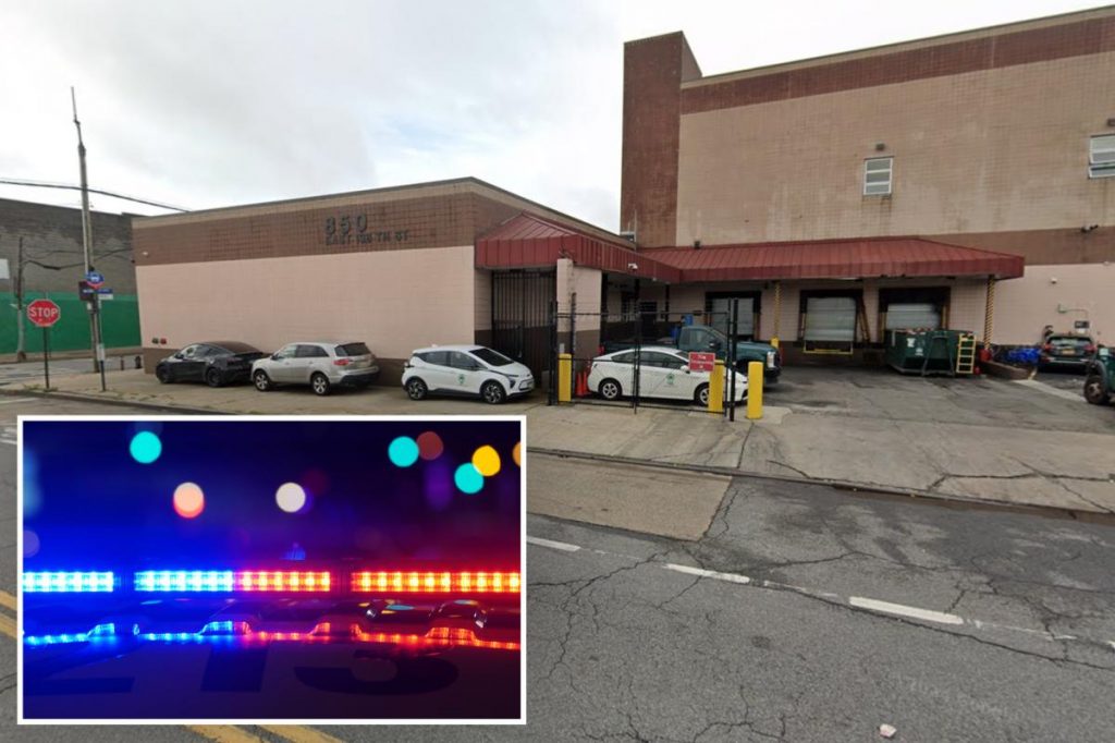 NYC Parks worker rear-ended strangers who tried to steal mirrors off car: cops NYC Parks worker rear-ended strangers who tried to steal mirrors off car: cops