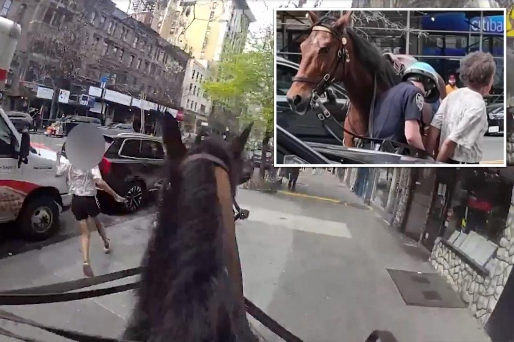 NYC cop on horseback chases down convicted killer-turned-purse snatcher
