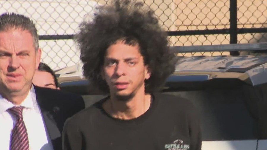 New details revealed over crash that killed LI crossing guard New details revealed over crash that killed LI crossing guard